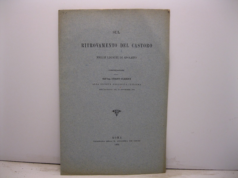 Sul ritrovamento del castoro nelle ligniti di Spoleto. Comunicazione fatta dall'ing. Enrico Clerici alla società geologica italiana nell'adunanza del 19 settembre 1894